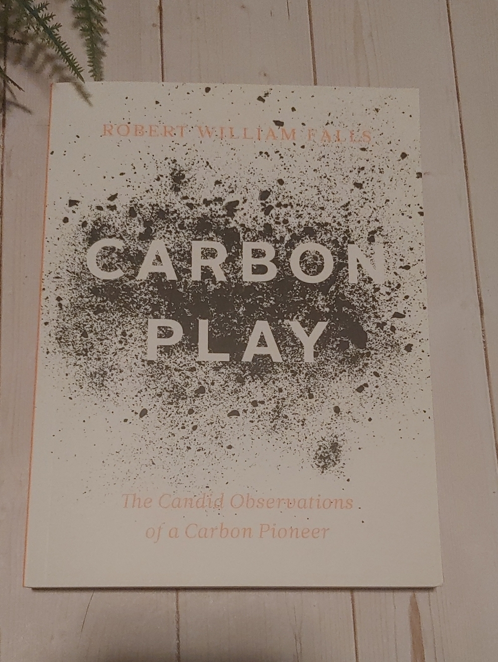 NEW Carbon Play Adult Non Fiction Book By Robert William Falls
